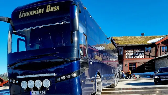 Partybuss ftill Trysil