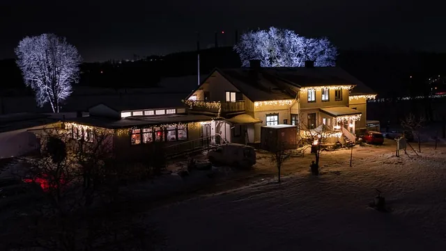 Bussresa till julbord i västra Götaland